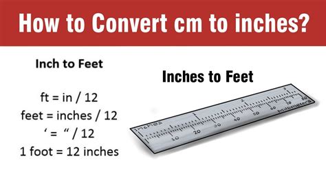 5 foot|what is 5 feet inches.